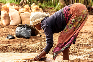 Initiative for vanilla farmers makes final round of GreenTec Awards