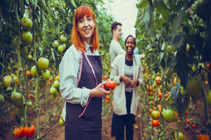 Innova releases food and beverage trend report