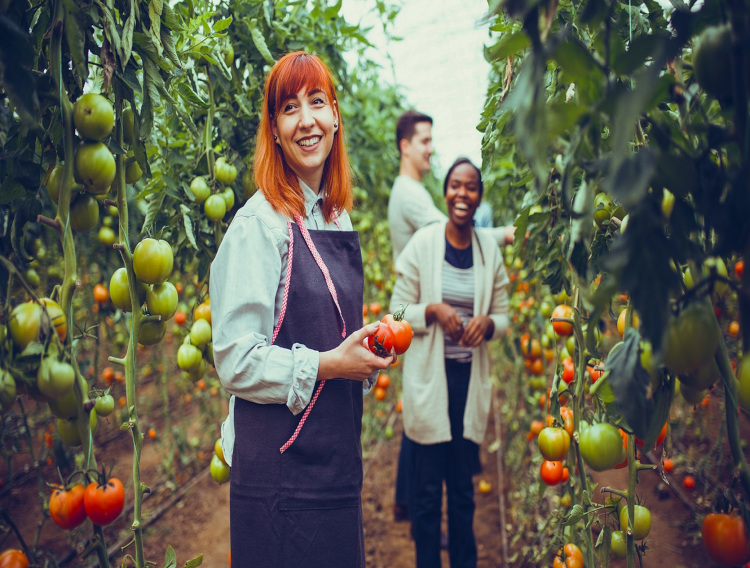 Innova releases food and beverage trend report