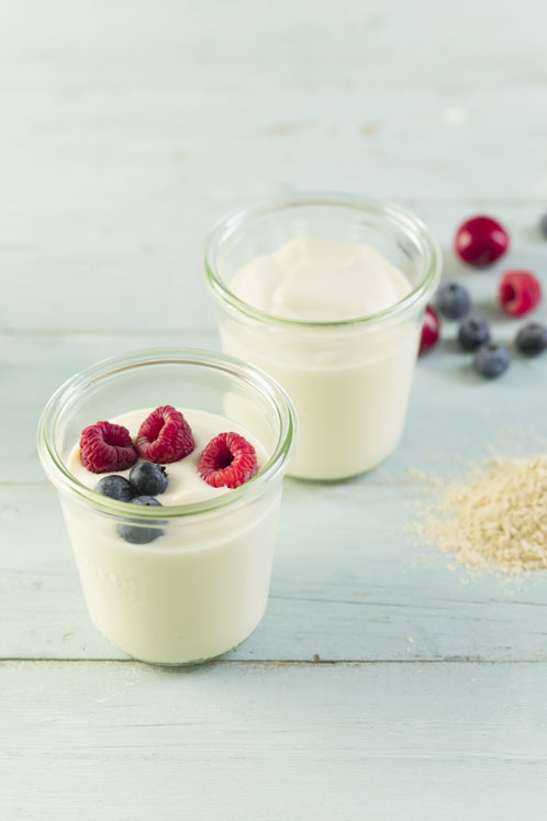 InnovoPro, developer of the world’s first 70% protein from chickpea, raises $4.25 million