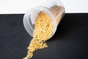 Insect-based protein start-up Flying Spark gets Thai investor