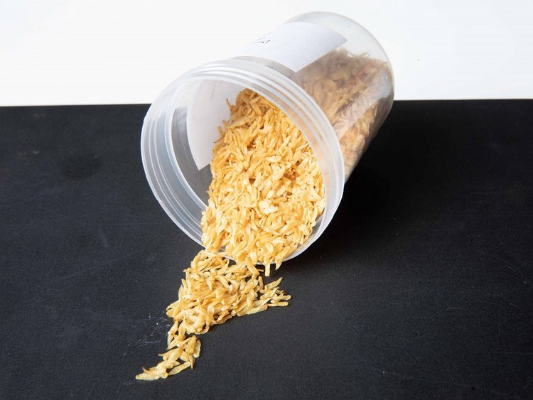 Insect-based protein start-up Flying Spark gets Thai investor