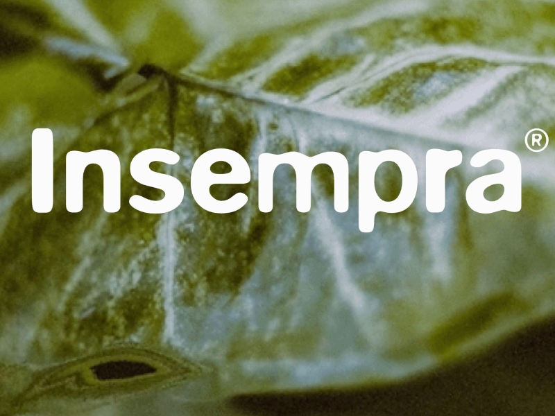 Insempra launches functional ingredient after partnering with Axxence