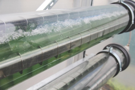 Intelligent thinking offers potential for algal EPA