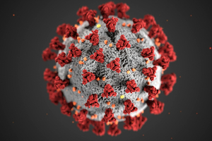 Inulin intake reduces COVID death risk, study suggests