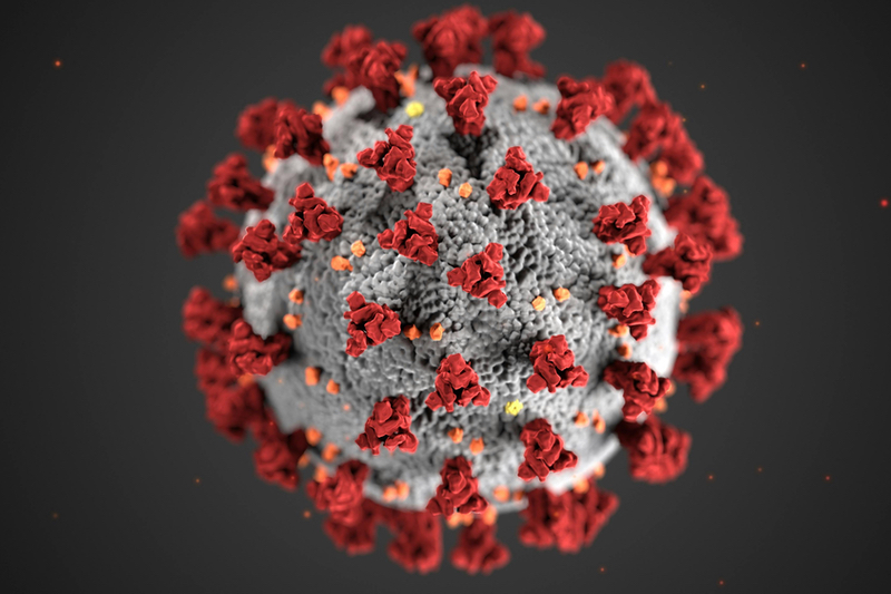 Inulin intake reduces COVID death risk, study suggests