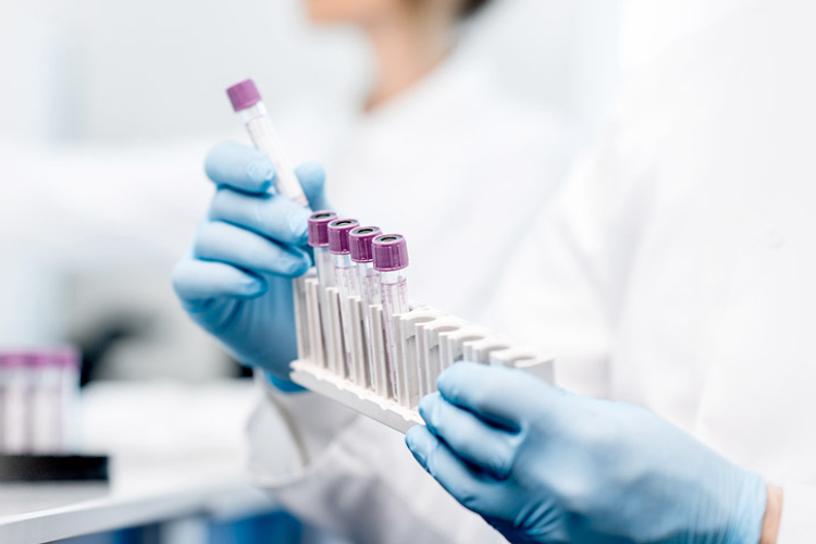 Irish functional food technology centre secures $24m boost