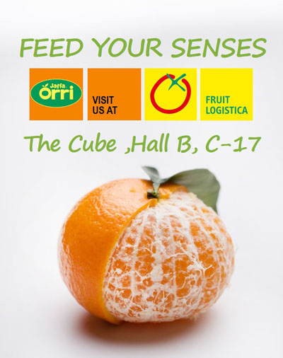 Jaffa Orri mandarin export sales expected to increase by 50%
