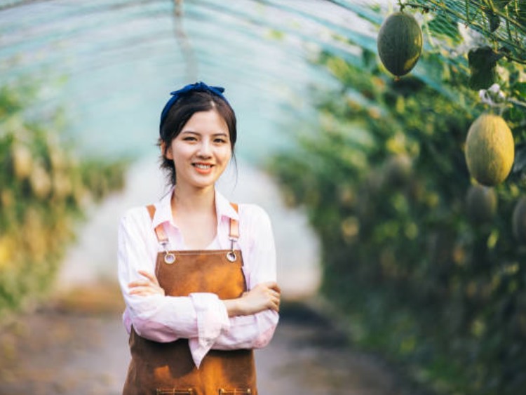 Japan grants Robertet health claim for anti-stress ingredient Extramel