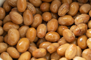 JBSL granted patent for nattokinase ingredient NSK-SD