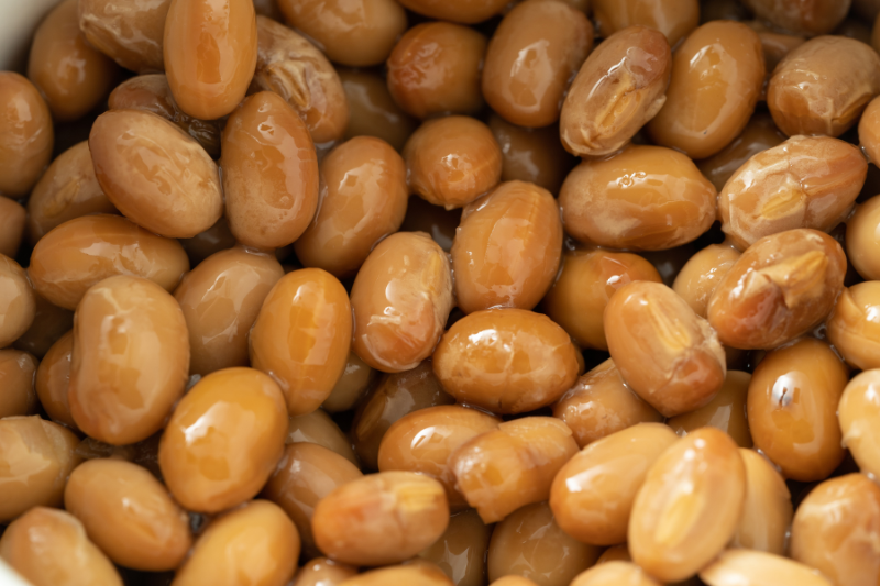JBSL granted patent for nattokinase ingredient NSK-SD