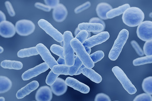 Juice-based probiotics less prone to degradation than dry powders, study finds