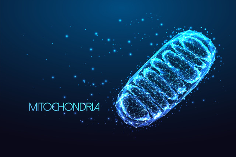 Kaneka Ubiquinol announces inaugural mitochondrial health category sponsorship at Vitafoods Europe 2026