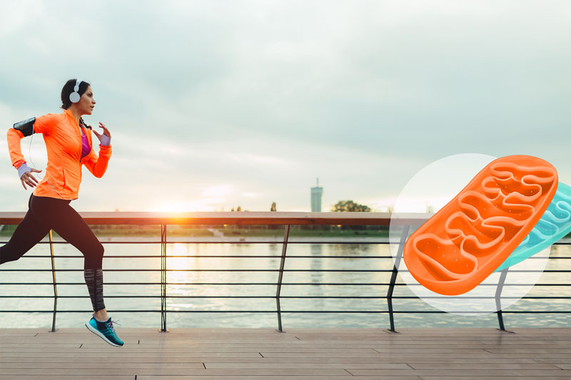 Kaneka Ubiquinol becomes inaugural Mitochondrial Health Category Sponsor at Vitafoods Europe 2026