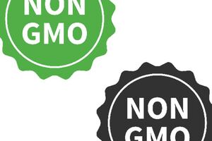 Kappa achieves Non-GMO certification for K2 ingredient

