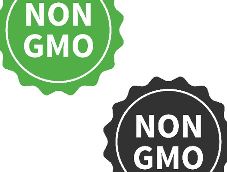 Kappa achieves Non-GMO certification for K2 ingredient
