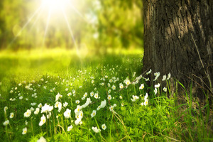 Kappa Bioscience goes climate-positive through Ecologi partnership