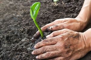 Kappa Bioscience receives vegan certification