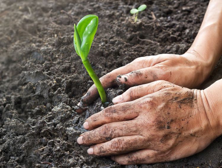 Kappa Bioscience receives vegan certification