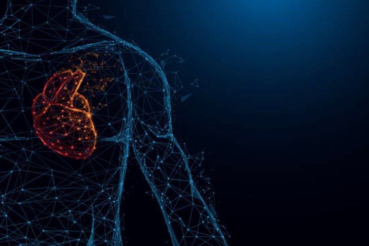 Kappa Biosciences uses Optibiotix ingredient to improve K2 offering