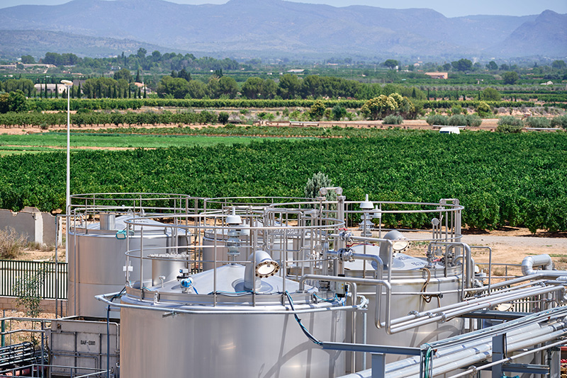 Kensing named to CDP’s A list for climate leadership and retains EcoVadis gold rating