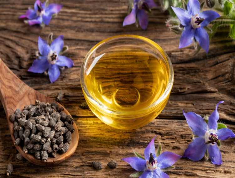 Kerfoot Group predicts borage oil market growth