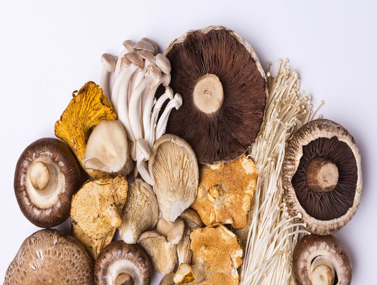 Kerry releases report on umami and kokumi