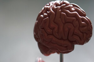 Ketone supplementation may protect brain function from obesity complications