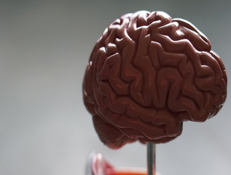 Ketone supplementation may protect brain function from obesity complications