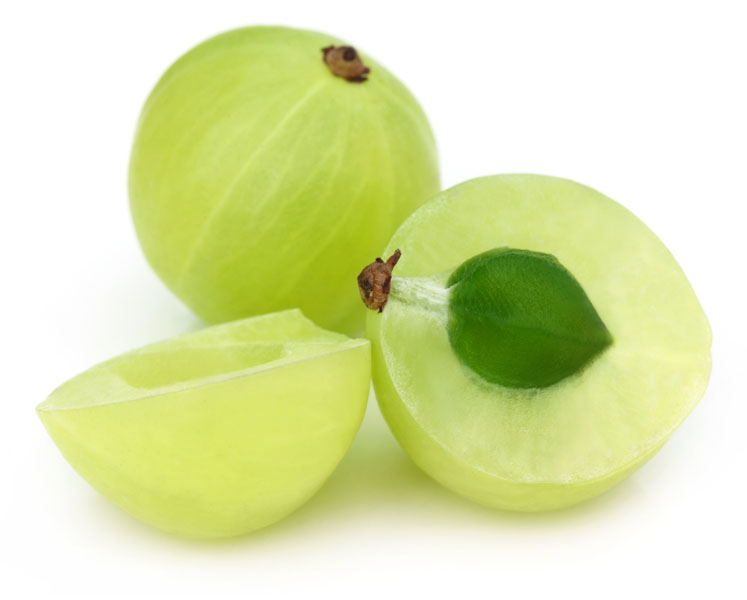 Key immune health ingredients of vegetal origin

