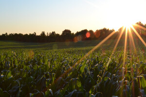 KitoZyme obtains EU approval for plant protection product