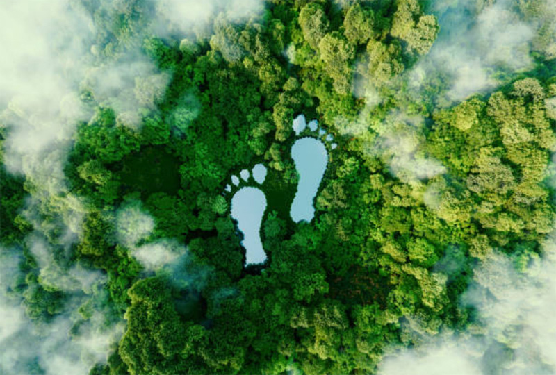 Kyowa Hakko Bio releases inaugural Creating Shared Value progress report