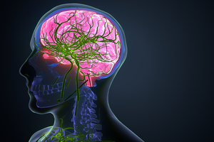 Kyowa Hakko delves into the science behind Cognizin at Nutrition for the Ageing Brain Symposium