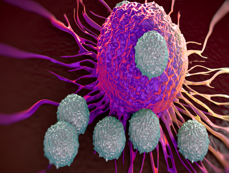 Kyowa Hakko launches immune activation paraprobiotic