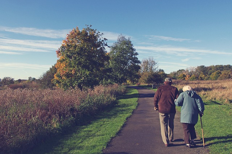 L-theanine ingredient shows memory-boosting benefits, study finds