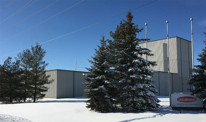 Lallemand Bio-Ingredients opens new North American Yeast Extract Factory