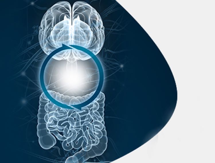 Lallemand Health Solutions launches brain-gut axis information hub