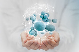 Lallemand offers innovative probiotic yeast solutions