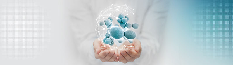 Lallemand offers innovative probiotic yeast solutions
