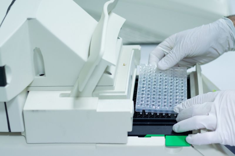 Lallemand's CDMO EXPERT'Biome acquires Bacthera Equipment to boost development of next-generation probiotics