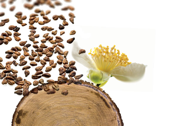Latest developments from Indena at Food ingredients Europe 2017