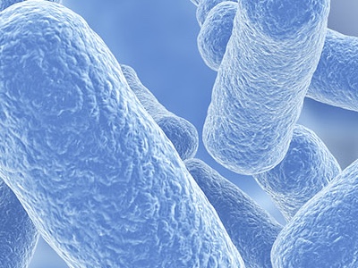 Litesse polydextrose has significant effects on gut microbiome