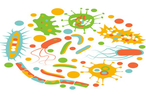 LNC acquires exclusive worldwide licence for Christensenella-based mood disorder therapeutic