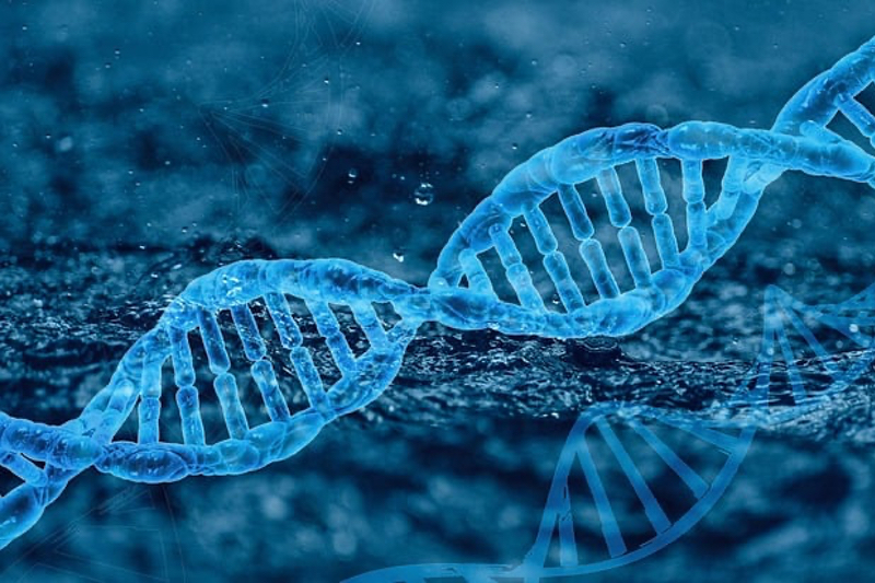 Low magnesium associated with DNA damage and increased disease risk, study finds