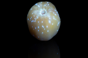 Lycored ingredient provides lasting beauty results