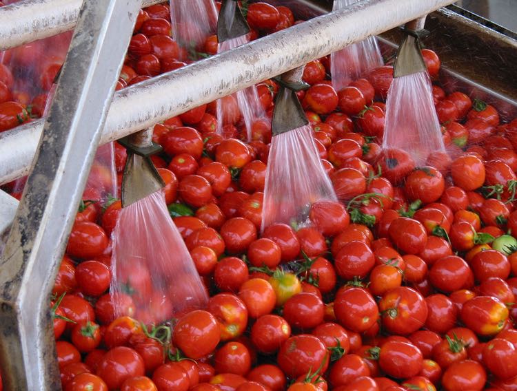 Lycored more than doubles tomato-based ingredient production