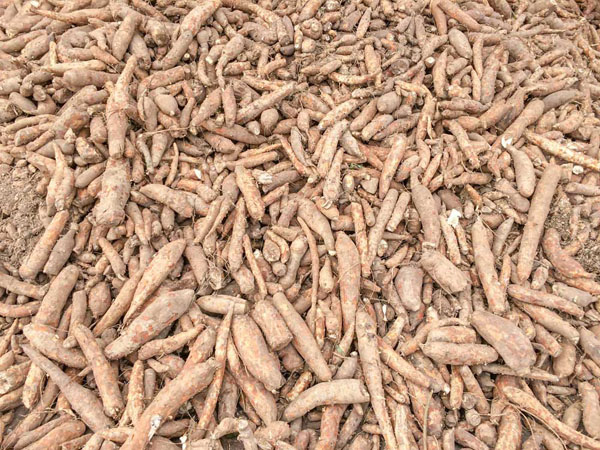 Make meats phosphate free With Ulrick & Short's ezimoist range