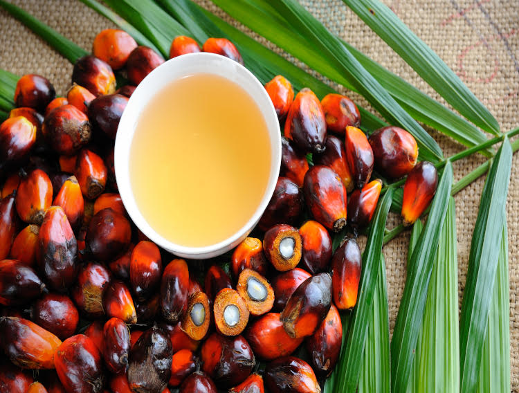 Malaysian Palm Oil Council addresses contaminant concerns