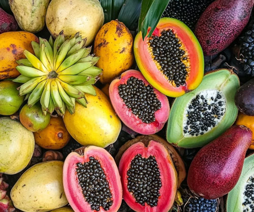 MANE debuts natural tropical flavours inspired by Costa Rican fruits and consumer insights