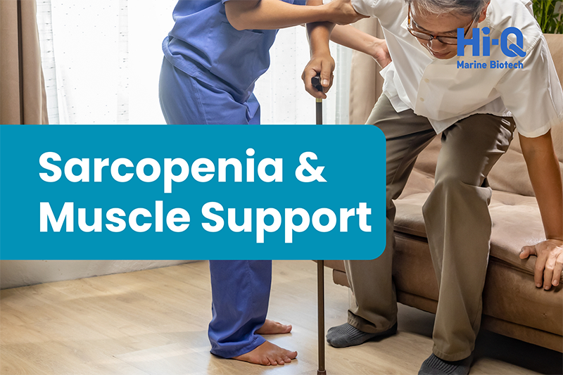 Marine oligo fucoidan: clinically supported non-protein solution for muscle strength in the ageing nutrition market